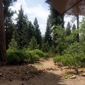 Meet your Posher, Claire